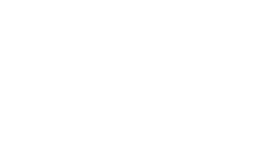 recambios usados teston
